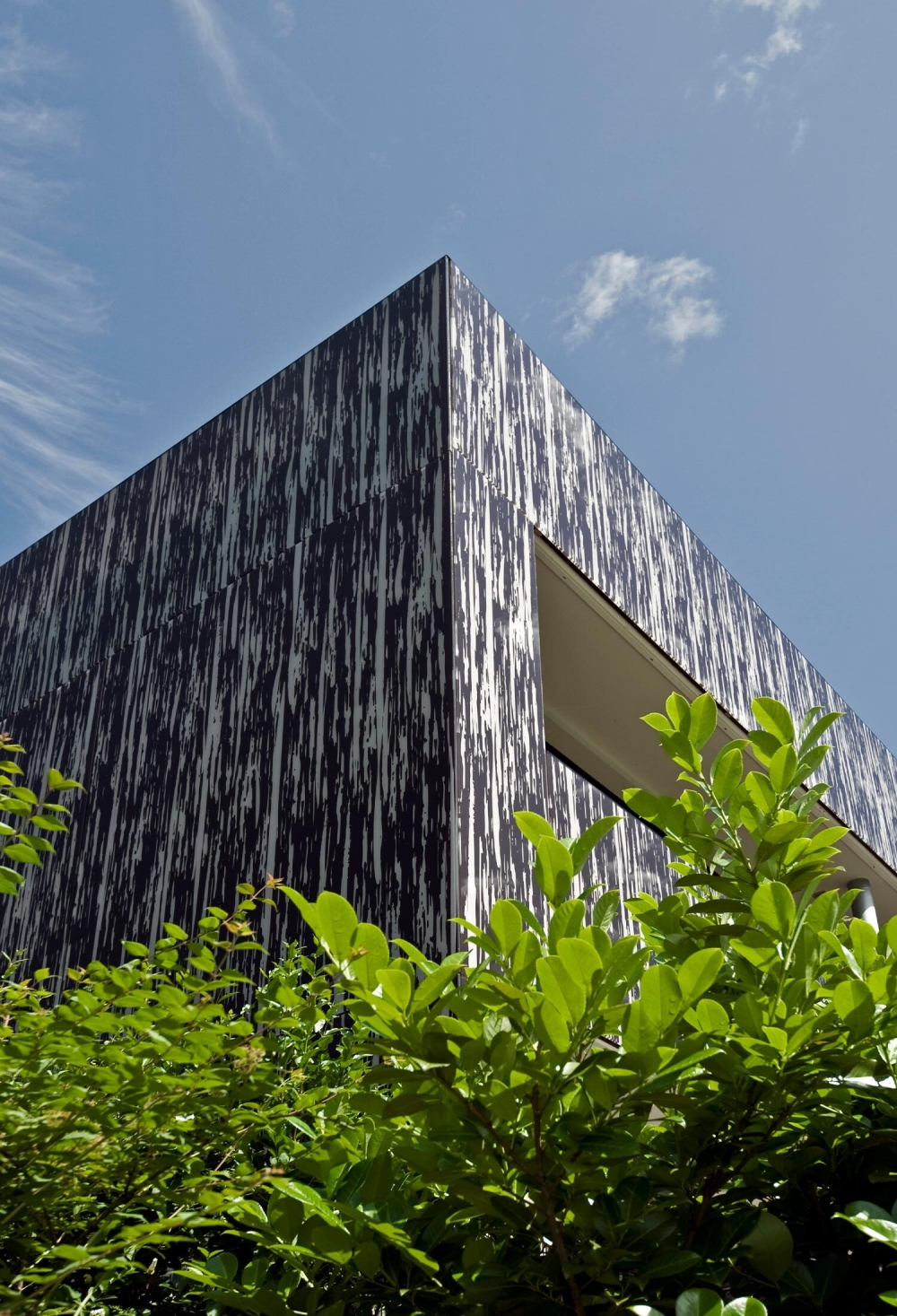 Bachegg beckenried hoch f r asset management ag 03